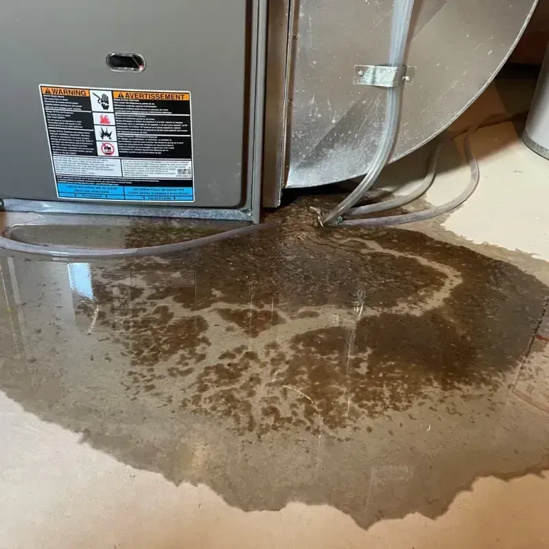 Appliance Leak Cleanup in Citra, FL